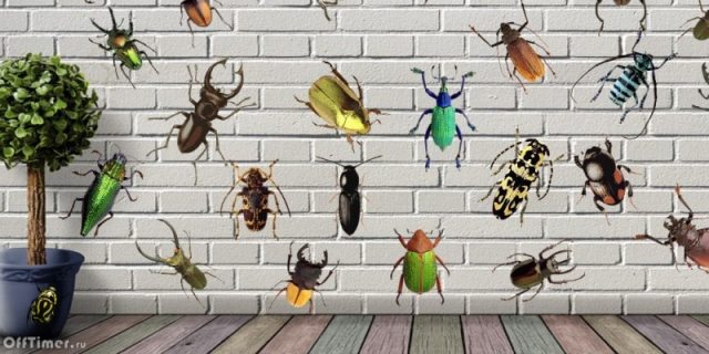 головоломка на внимательность - собери жуков