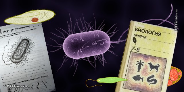 Тест по биологии - простейшие микроорганизмы